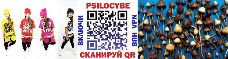 Галлюциногенные грибы GOLDEN TEACHER  купить наркотик  Рязань 